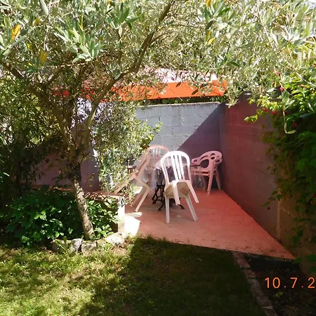 L'olivier Bouguenais