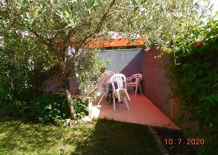 L'olivier Bouguenais